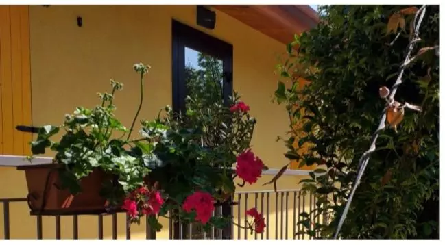 ベッドアンドブレックファースト Agriturismo La Fredda