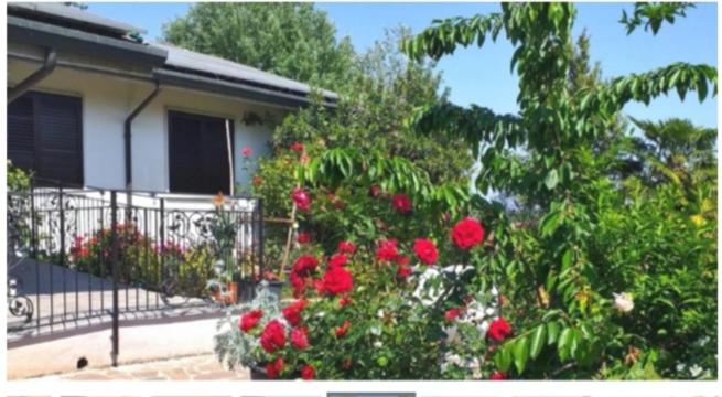 مبيت وإفطار Agriturismo La Fredda