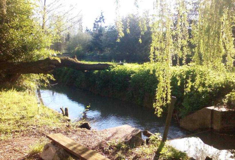 צימר Au Chat Qui Pêche