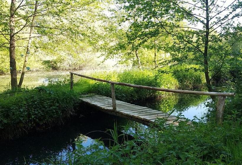 צימר Au Chat Qui Pêche