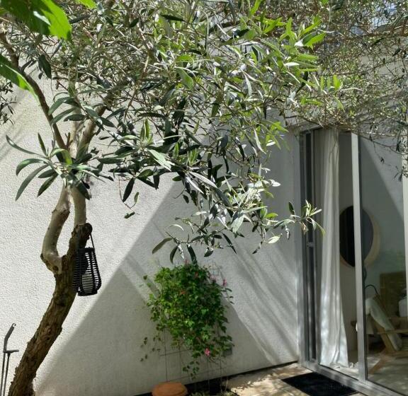 تختخواب و صبحانه Casa Canna