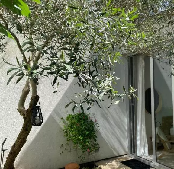 تختخواب و صبحانه Casa Canna