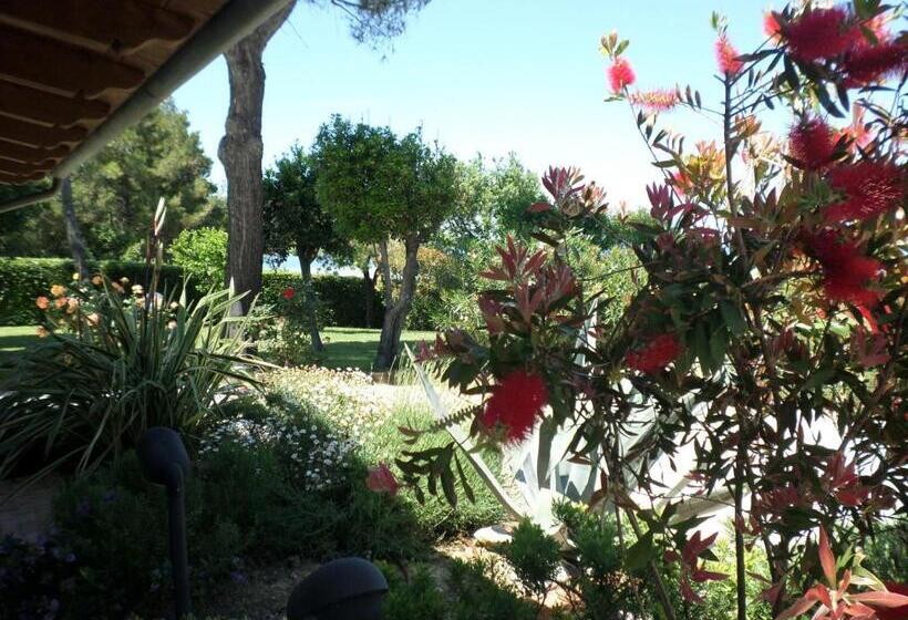 Bed And Breakfast  Il Tesoro Di Mario