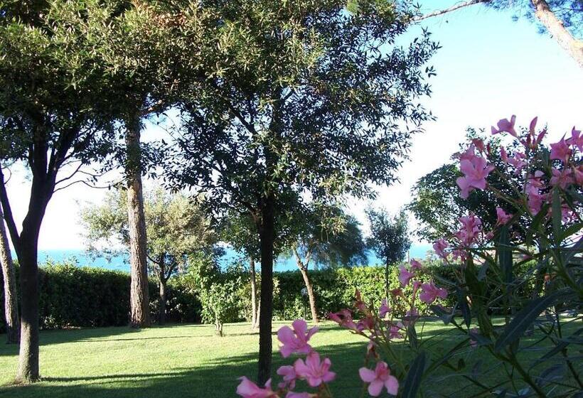 Bed And Breakfast  Il Tesoro Di Mario