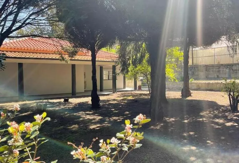 ベッドアンドブレックファースト Solar Da Boavista