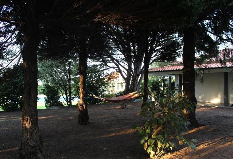 住宿加早餐  Solar Da Boavista