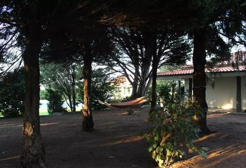 ベッドアンドブレックファースト Solar Da Boavista