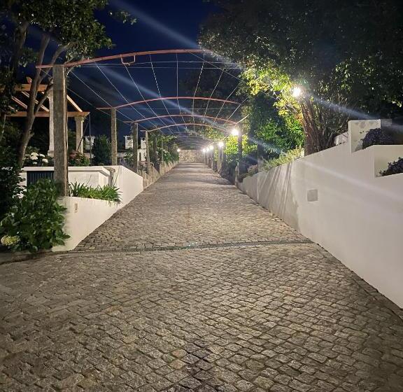 住宿加早餐  Solar Da Boavista