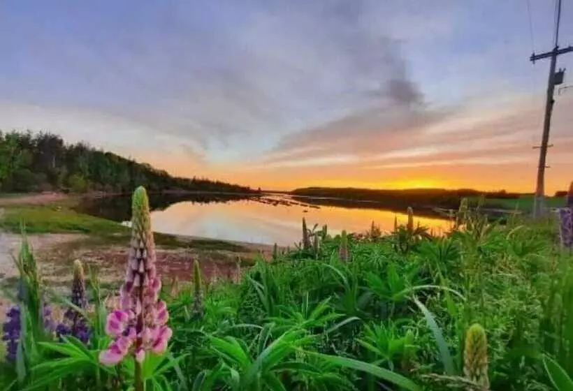 Clinton Pond Bed And Breakfast