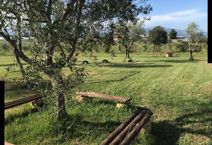 בית מלון כפרי Agriturismo Il Borghetto