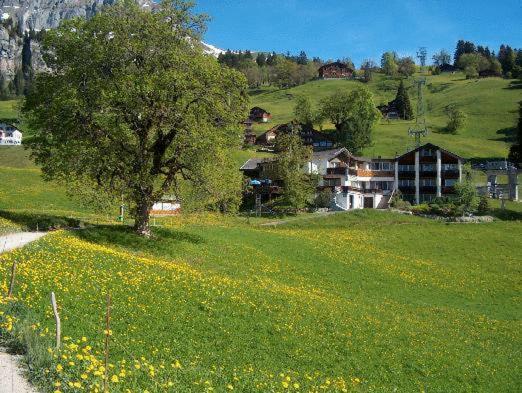 Hotel Restaurant Cristal