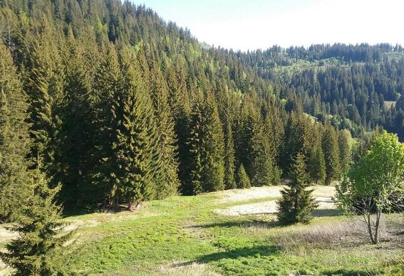 Отель Restaurant Les Rosieres