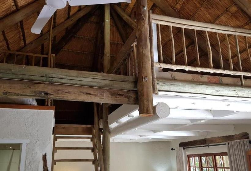 بنسيون Avoca River Cabins