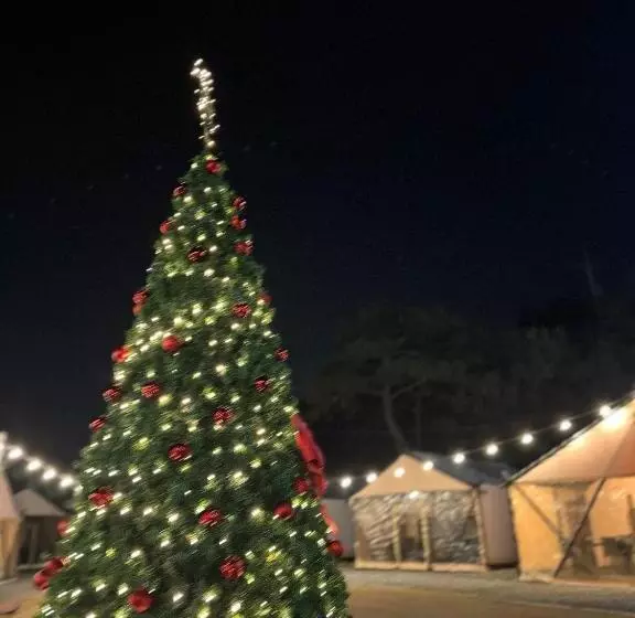 ペンション Damyang Raon Glamping