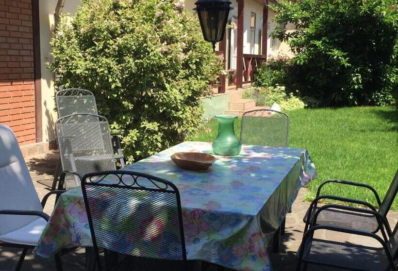 Pension Kertész Ház