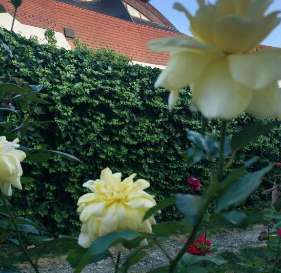 Pension Kertész Ház