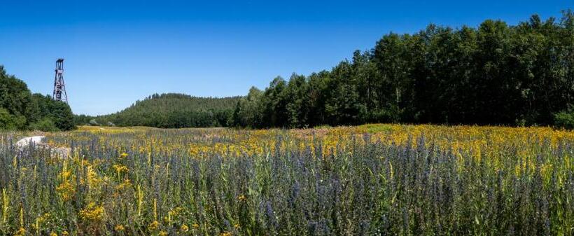 پانسیون Le Haut Du Pavé