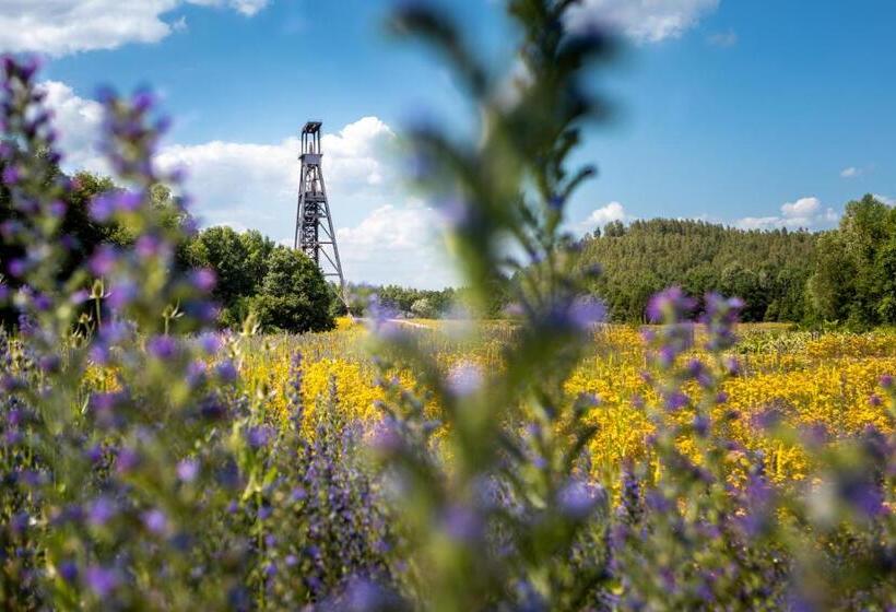 پانسیون Le Haut Du Pavé