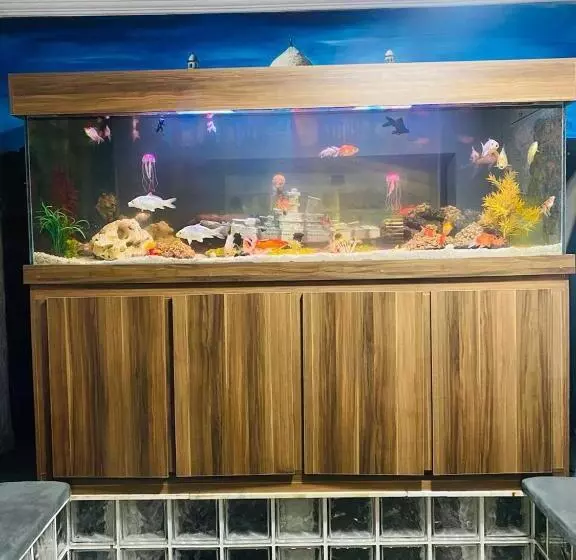 ホテル Hostel Anprado 2