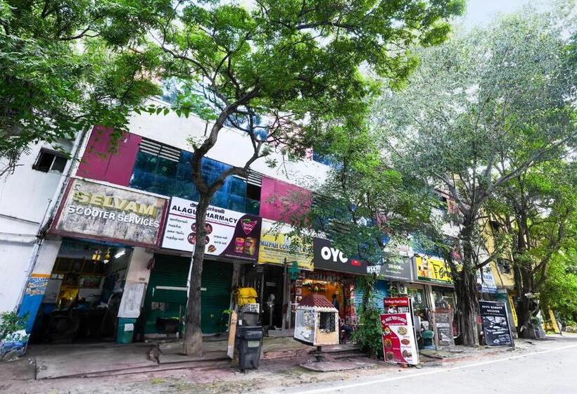 酒店 Oyo Flagship Mizpah Inn