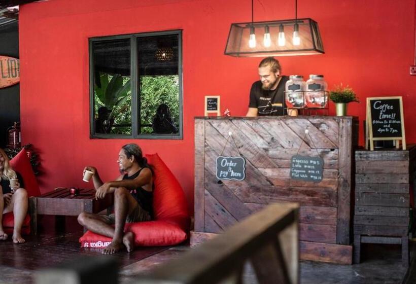 Pensjonat House Of Lion Hostel And Guesthouse