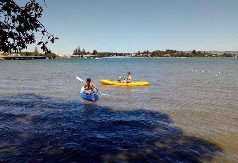 旅馆 Apple Tree Backpackers