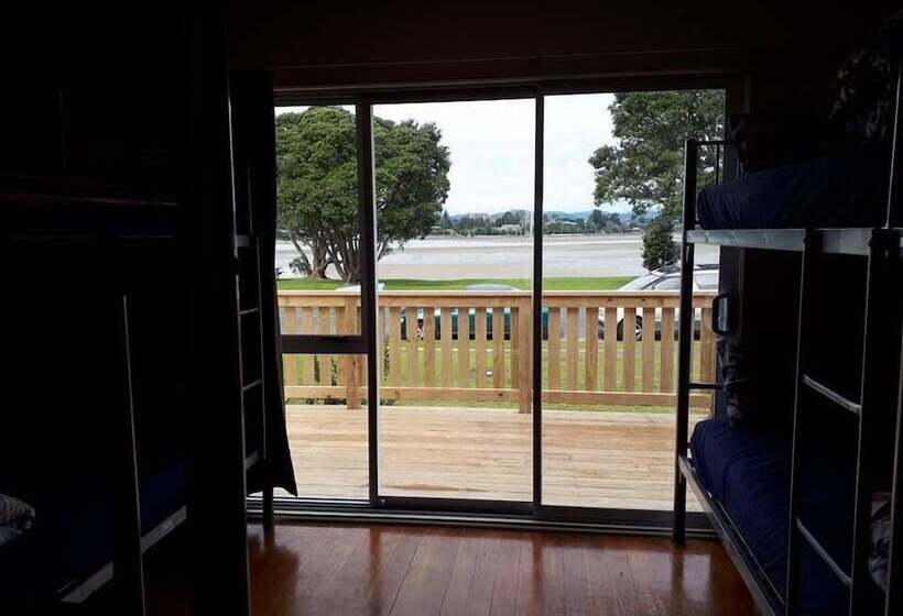 旅馆 Apple Tree Backpackers