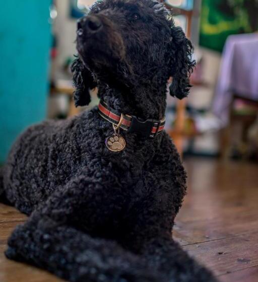 تختخواب و صبحانه Barrbra Bnb Over The Sea