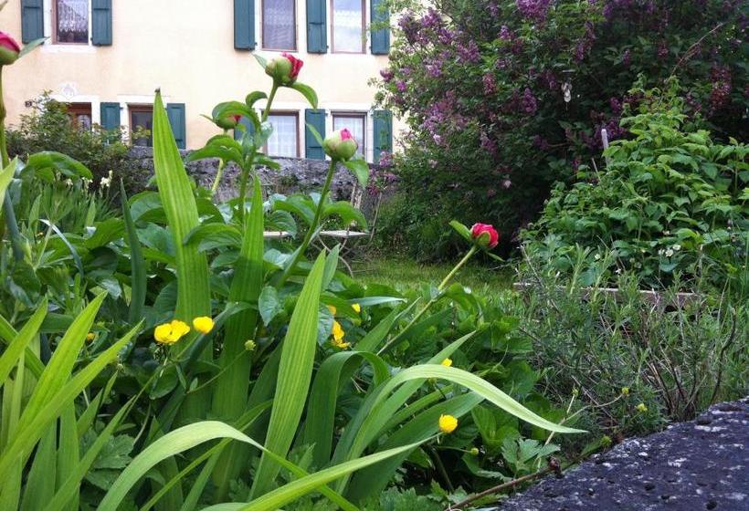 Bed and Breakfast Chambres D'hôtes Chez Epicure