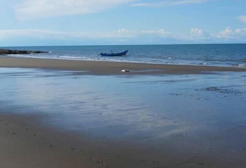 ベッドアンドブレックファースト Posada Del Mar