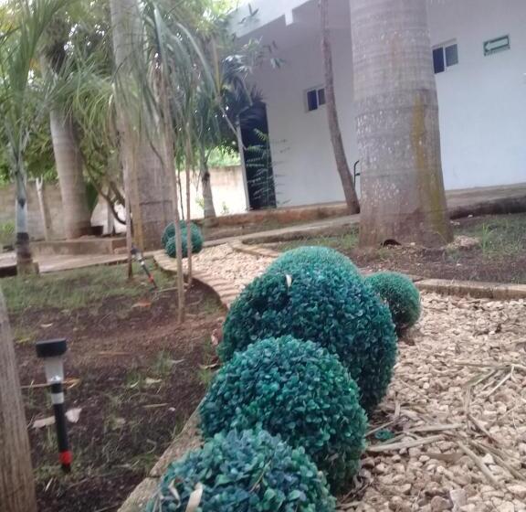 هتل 41 Valladolid