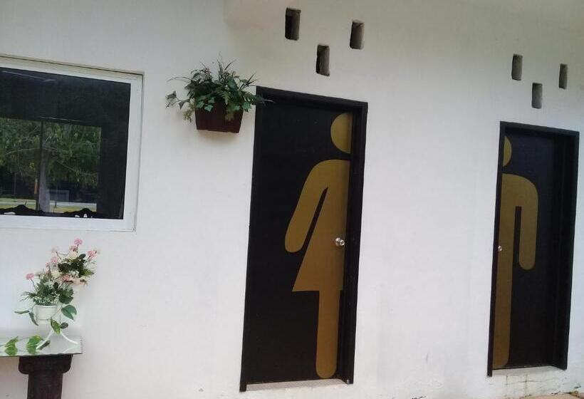 هتل 41 Valladolid