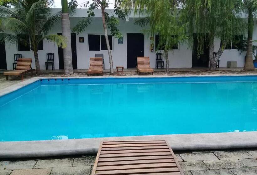 هتل 41 Valladolid