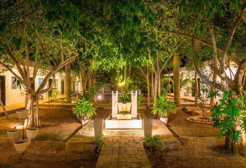 هتل 41 Valladolid