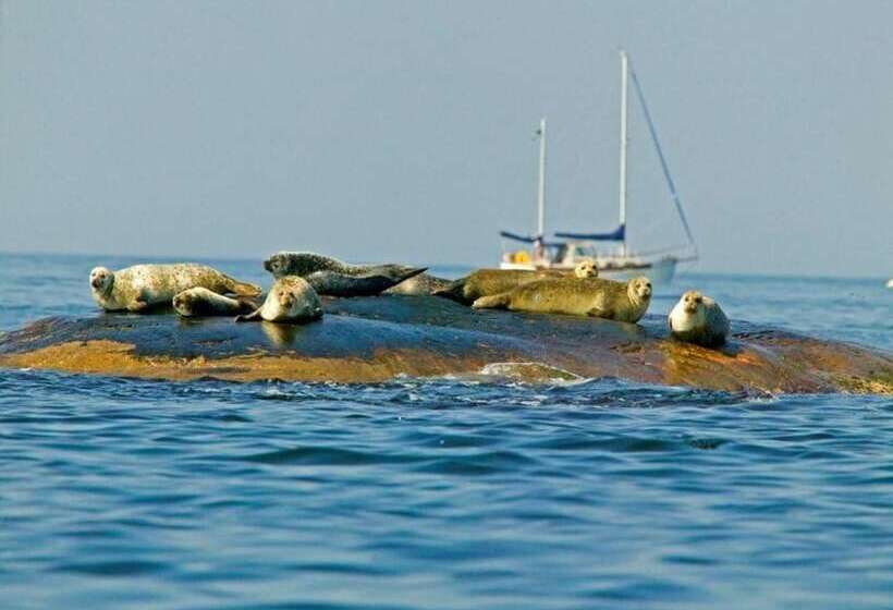 Roddaren Vandrarhem   Hostel