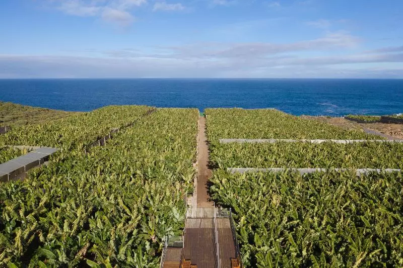 ホテル Hacienda La Dehesa