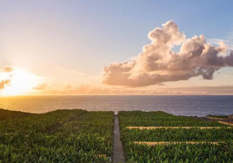 ホテル Hacienda La Dehesa