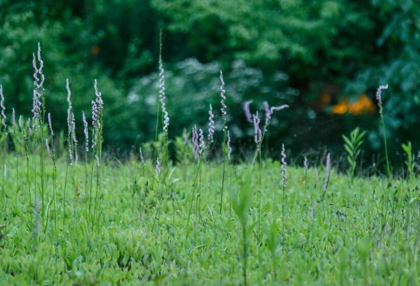 ホテル Shaga No Sato Yumeya