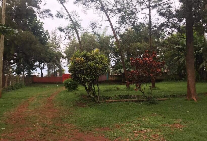 تختخواب و صبحانه Home Stay Studio 62 Guesthouse