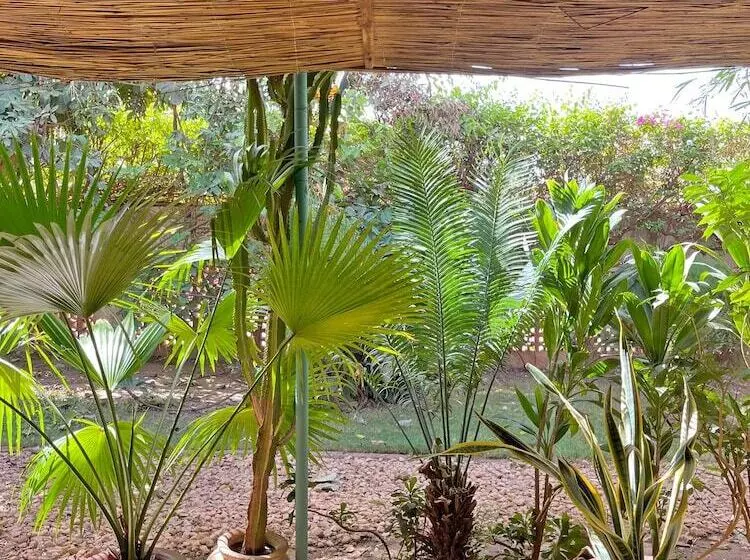 پانسیون Umoja Guest House