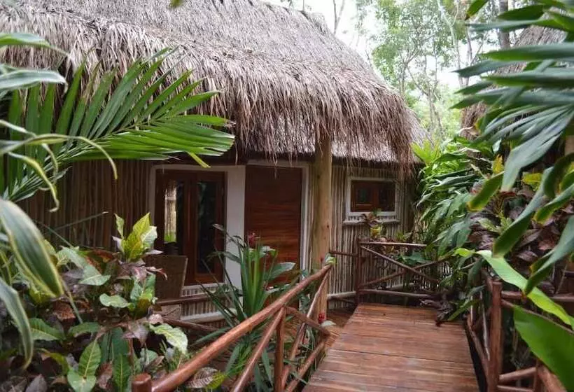 هاستل Boutique Chacá