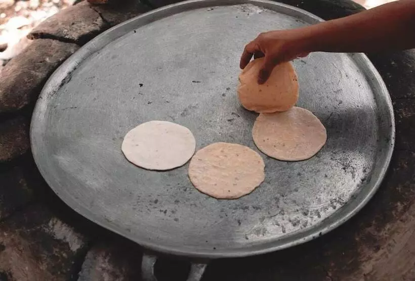 هاستل Boutique Chacá