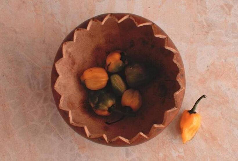 فندق صغير Boutique Chacá