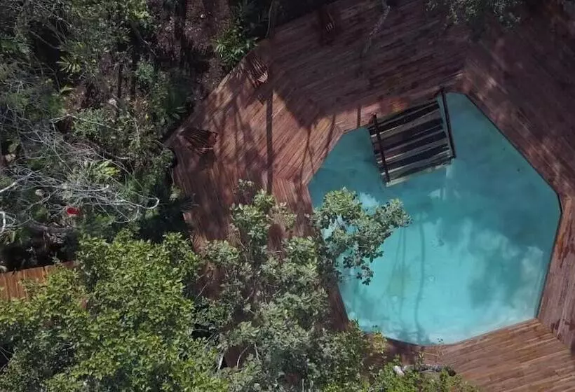 هاستل Boutique Chacá