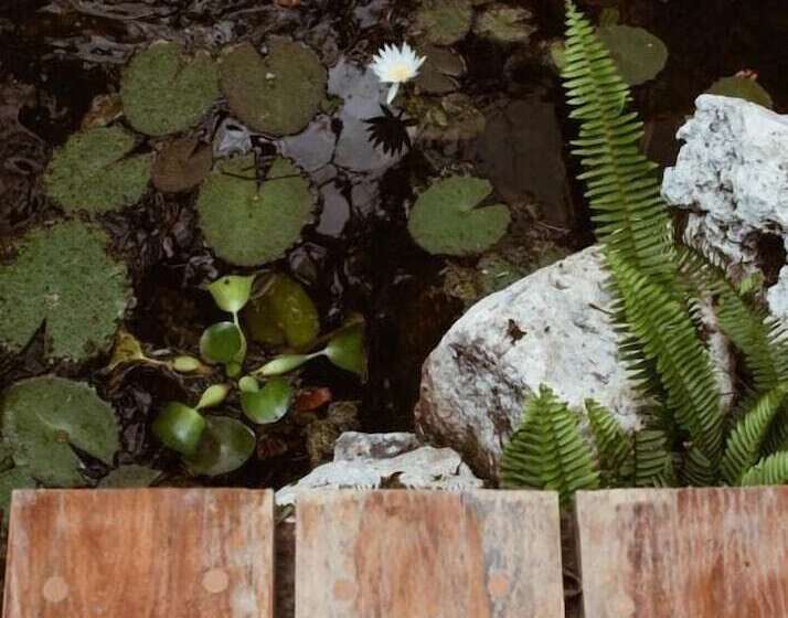 فندق صغير Boutique Chacá