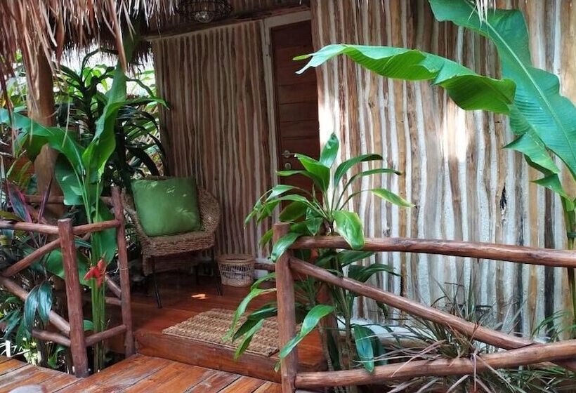 فندق صغير Boutique Chacá