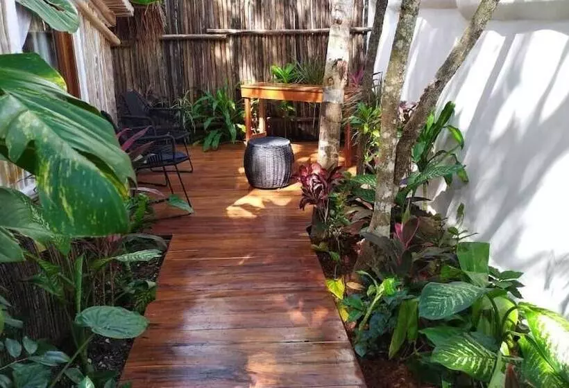 هاستل Boutique Chacá