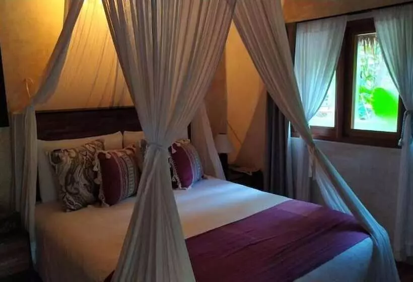 هاستل Boutique Chacá