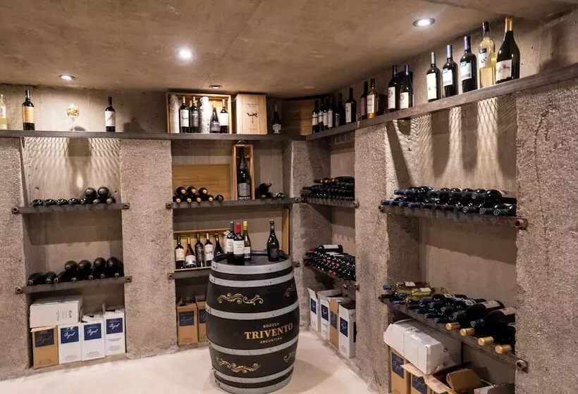 Ayres De Uco Lodge & Wine Lovers