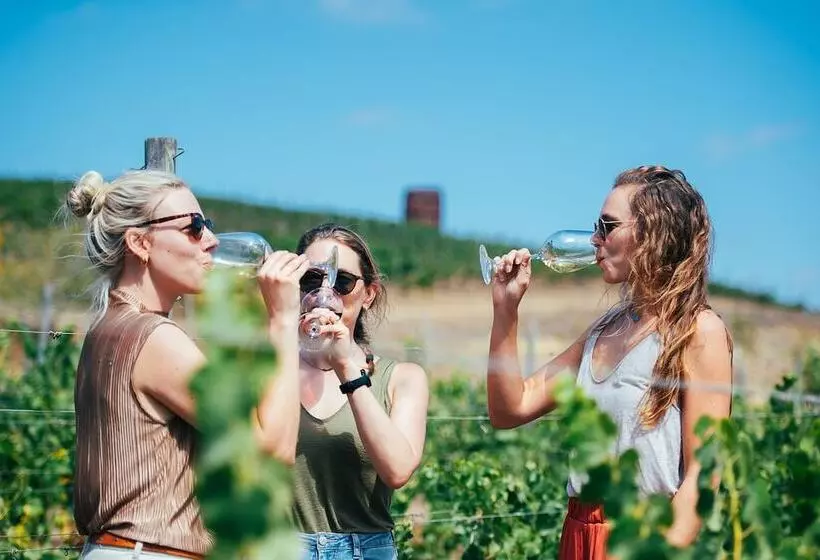 Aamiaismajoitus (B&B) Villa Miramar At Casa Marin Vineyards